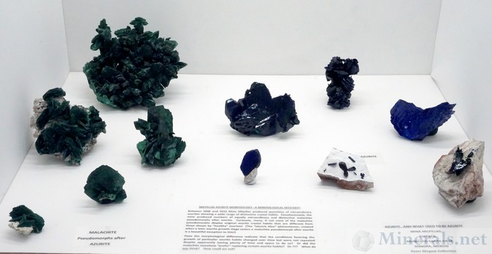 Azurite and what Used to be Azurite from the Millpillas Mine, Mexico, Peter Megaw Collection