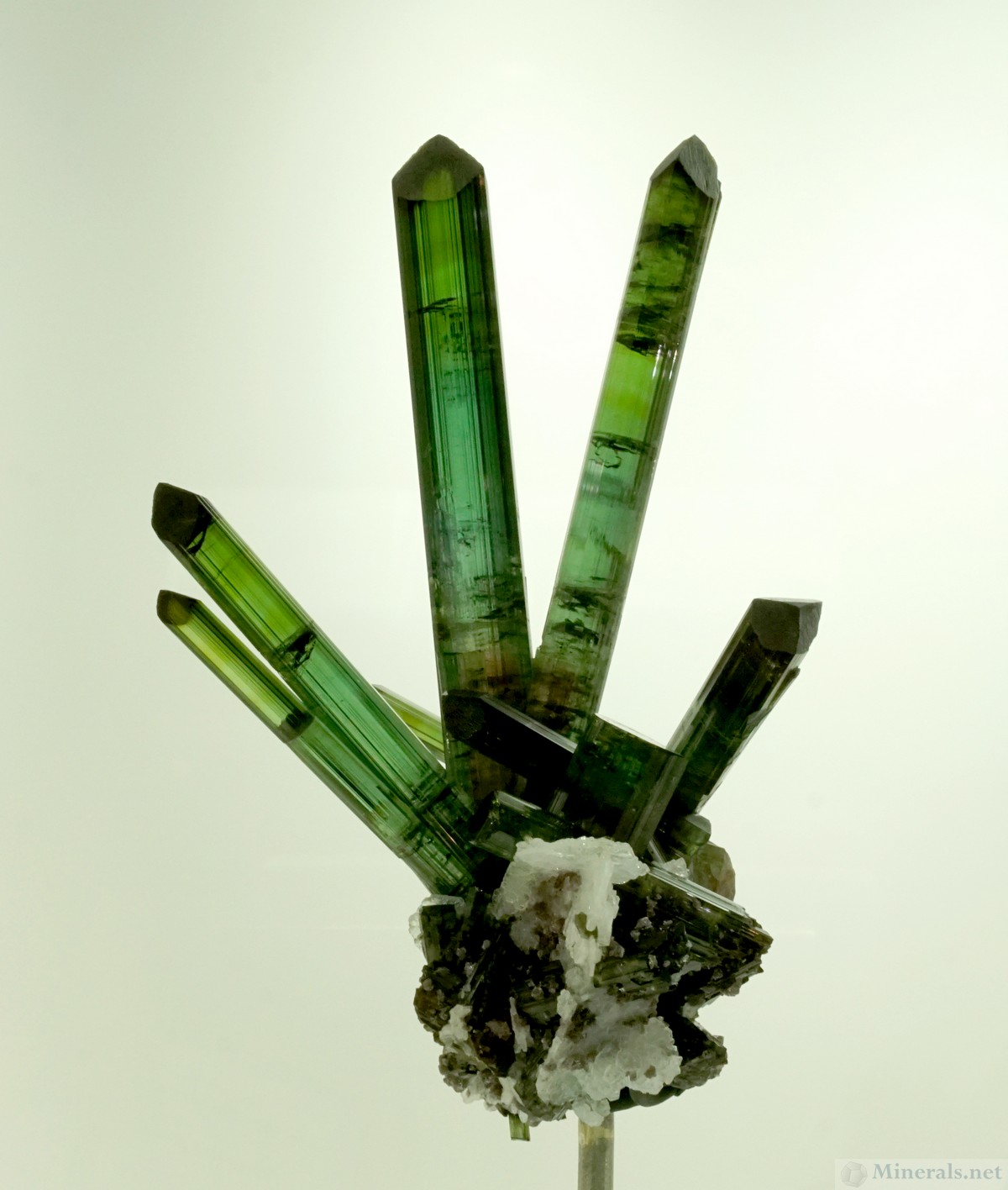 Another Exquisite Tourmaline Hand, most likely from Pederneira Mine, Minas Gerais, Brazil, Naturalcrationsmineralco.com