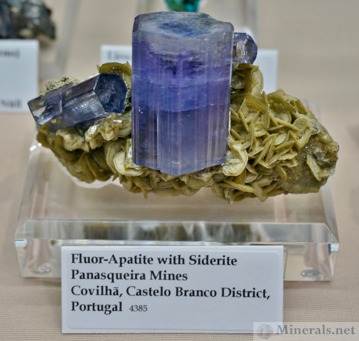 Purple Fluorapatite with Siderite Panasquieira Mines, Portugal