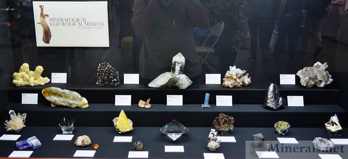 Mineralogical & Geological Museum at Harvard University