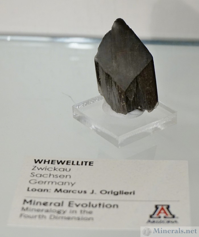 hewellite Crystal from Zwickau, Saxony, Germany