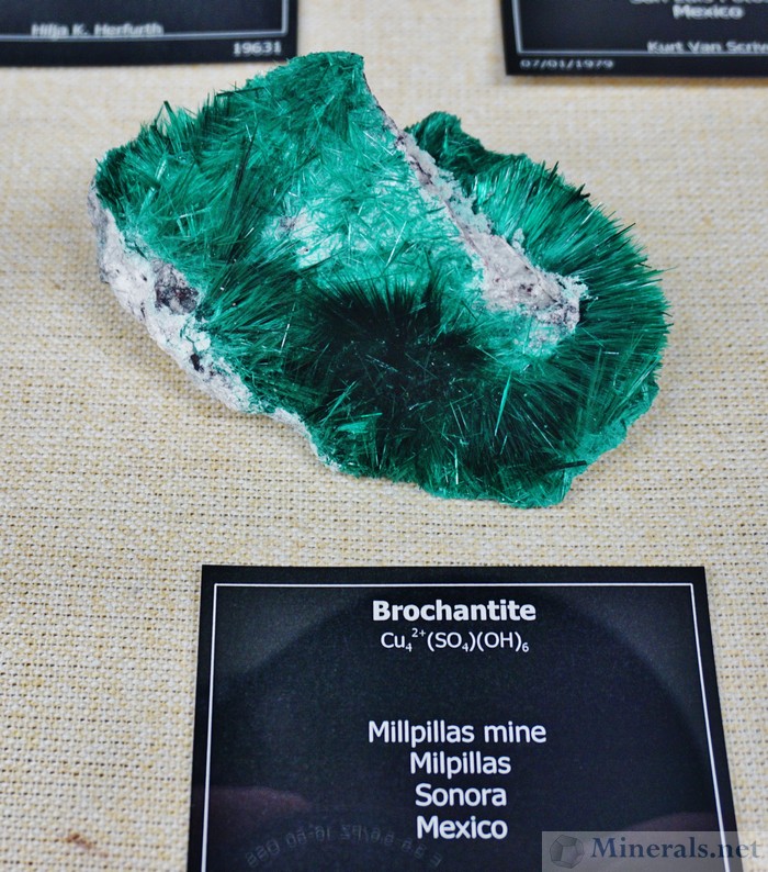Brochantite from the Millpillas Mine, Sonora, Mexico