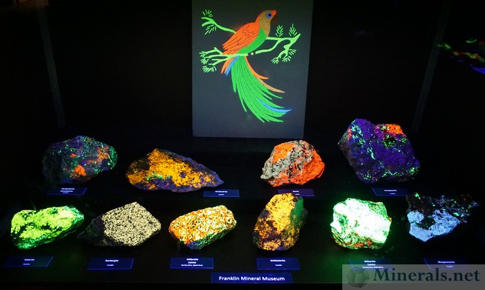 Fluorescent Minerals from the Franklin Mineral Museum