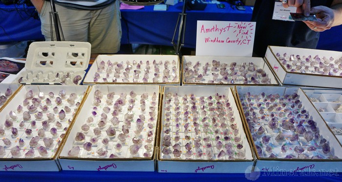 Several Flats of the the Amethyst at Jason's Booth