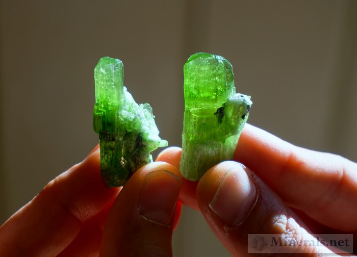 New Find of Electric Green, Transparent Chrome-Tremolite from Merelani, Tanzania
