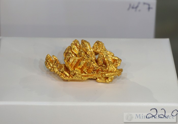 Gold Crystals from Pontes e Lacerda, Mato Grosso, Brazil