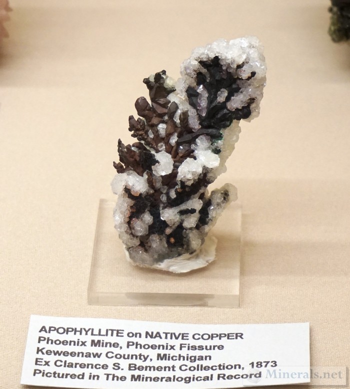 Apophyllite on Native Copper from the Phoenix Mine, Keweenaw Co., Michigan Paul E. Desautels Memorial Case
