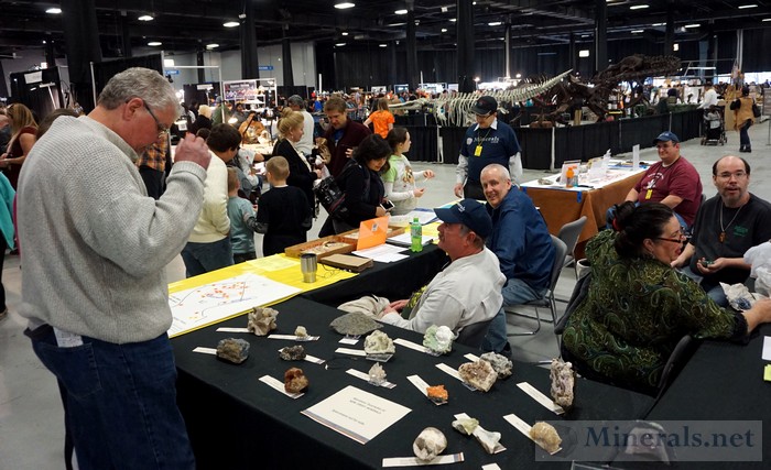 NY/NJ Edison Mineral Show Club Table of the North Jersey Mineralogical Society at the Show