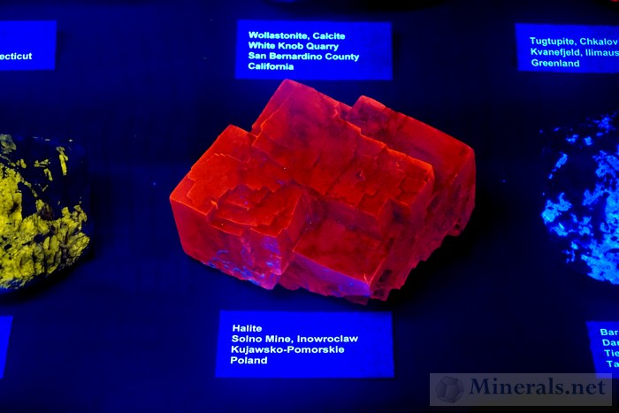 Fluorescent Halite from Inowroclaw, Poland: Richard Bostwick & Tema Hecht Collection