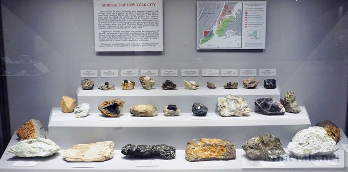 Minerals of New York City Case