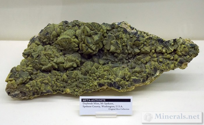 Meta-Autunite from the Daybreak Mine, Mt. Spokane, WA