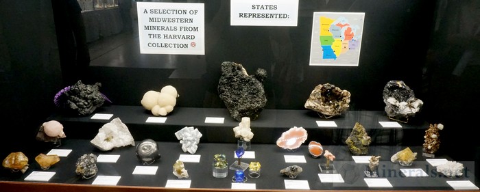 A Selection of Midwestern Minerals The Harvard Collection