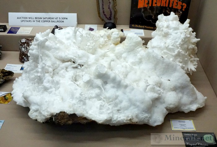 Giant Aragonite var. Flos Ferri, the Largest of the the Show Auction Minerals Donated by Crystal Classics