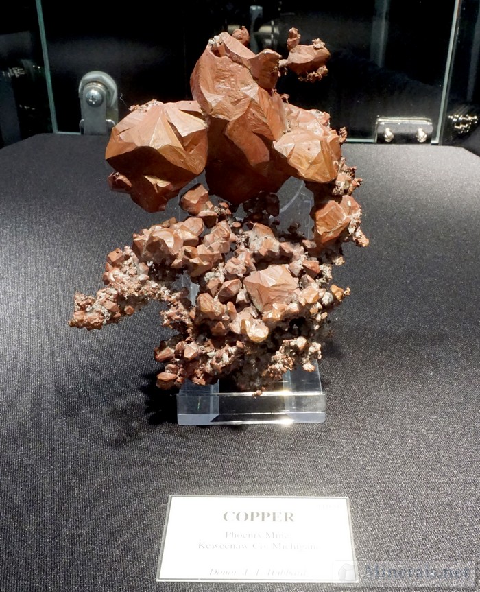 Large, Exceptional Copper Crystals from the Phoenix Mine, Keweenaw Co., Michigan A.E. Seaman Mineral Museum