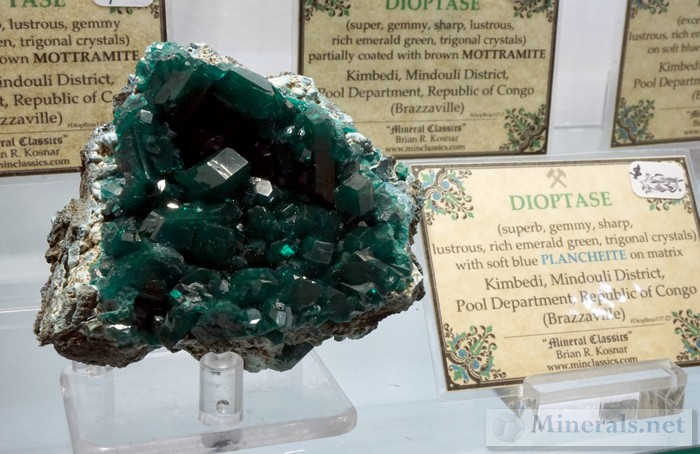 Dioptase with Plancheite Matrix from Kimbedi, Mindouli, Republic of Congo >Mineral Classics