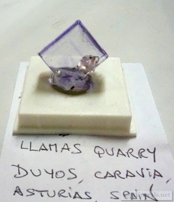 New Fluorite Cube Finds from the Llamas Quarry, Duyos, Asturias, Spain Mineral Classics