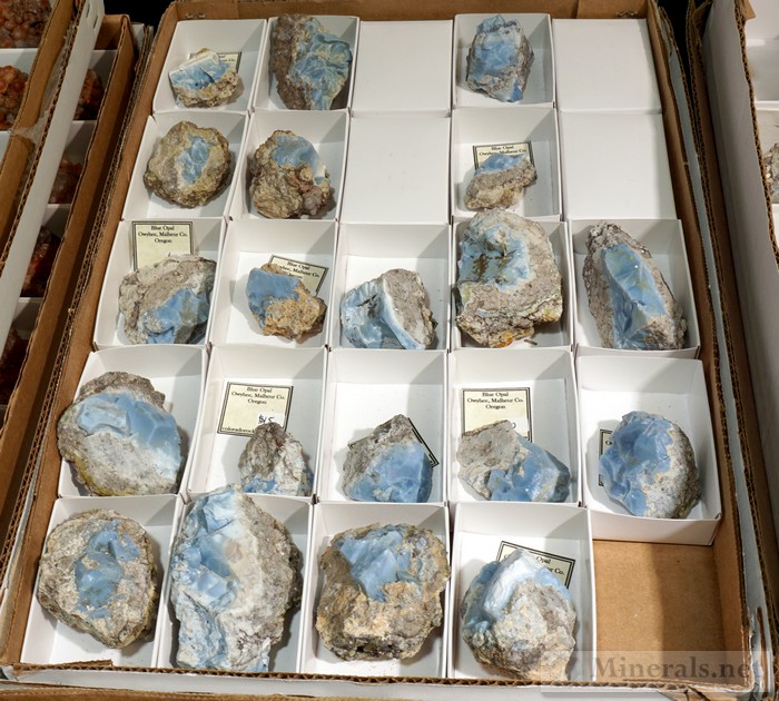Blue Opal from Owyhee, Malheur Co., Oregon Colorado Rocks Amanda Adkins