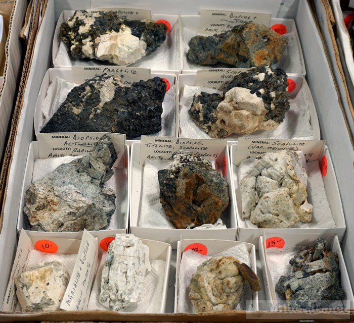 Minerals from the Rhein Find in Amity, NY, Acquired by Gary Maldovany Just Keep Rockin