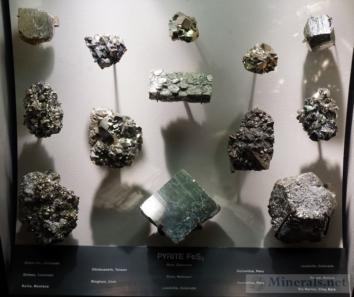 Display Case of Pyrite