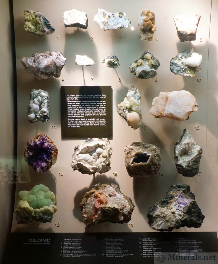 Main Case of Volcanic Minerals from the Paterson Area, New Jersey