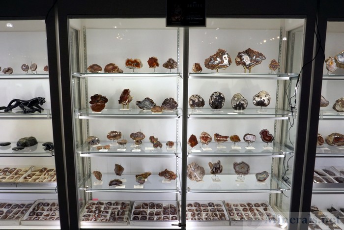 Very Large Agate Display Case in the Exhibit Area