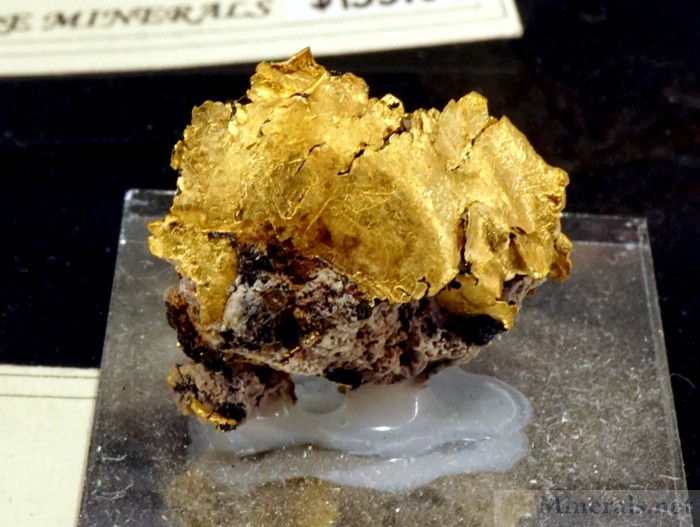 Recently Mined Gold Crystals from the Little Jonny Mine, Leadville, CO, Self-a-Ware Minerals