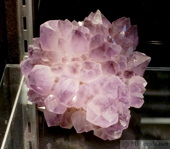 Large Amethyst Cluster from the Reel Mine, Iron Station, NC, James Hall