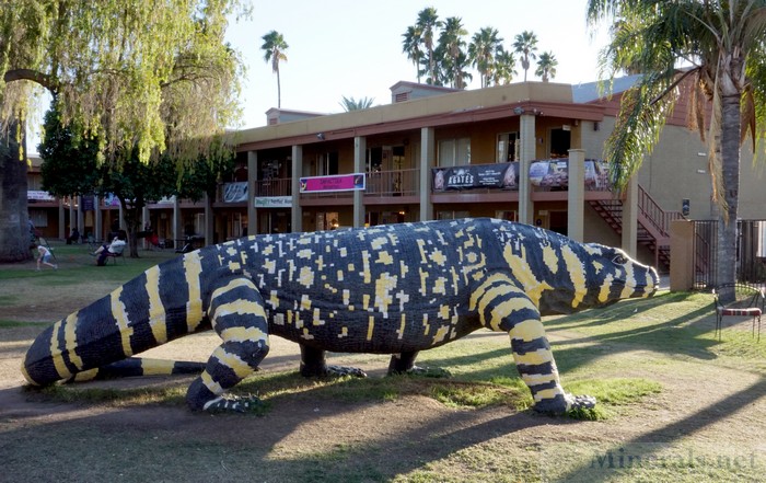 Gila Monster Replica in the HTCC Courtyard
