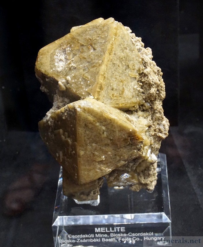 Mellite from the Csordakuti Mine, Bickske Csordakut, Hungary