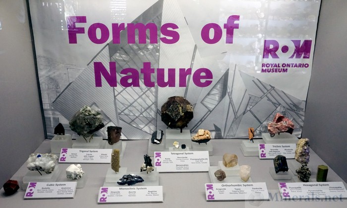 Forms of Nature Royal Ontario Museum