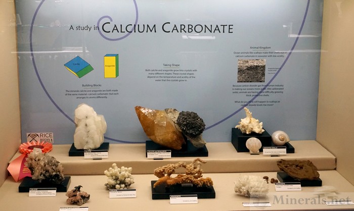 A Study in Calcium Carbonate Rice Museum of Rocks & Minerals