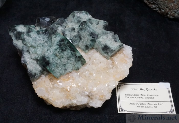 Fluorite on Quartz from the Diana Maria Mine, Frosterley, England, Alan's Quality Minerals