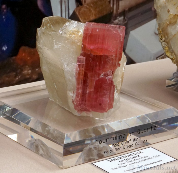 >Bright Red Tourmaline on Quartz from the Pala Chief Mine, Pala, California, Fallbrook Gem & Mineral Society