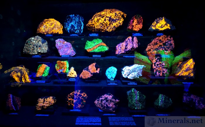 One of the Additional Fluorescent Displays, in the Geotec Center