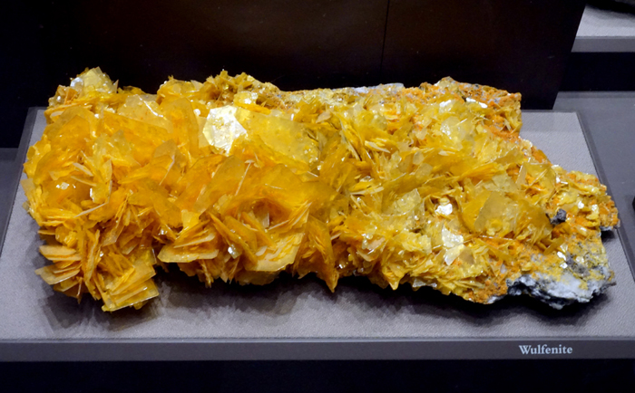 Large Wulfenite Crystal Plate with Mimetite from the San Francisco Mine, Sonora, Mexico