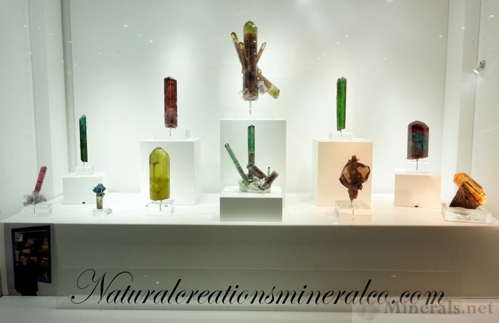 Exquisite Tourmaline  and Other Gem Crystals, Naturalcreationsmineralco.com