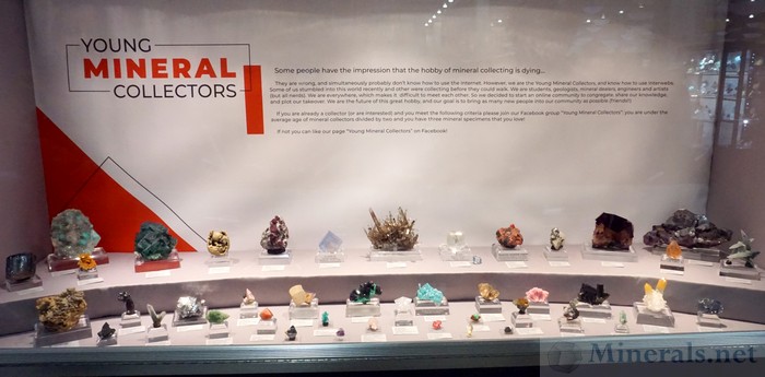 Young Mineral Collectors Case