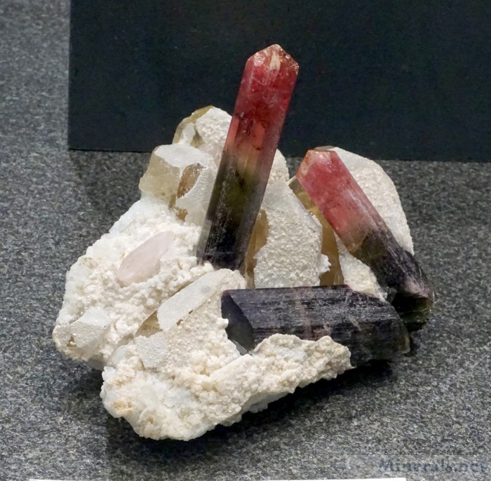 Liddicoatite Tourmaline with Morganite from Ampatsikharita, Sahatany Valley, Madagascar