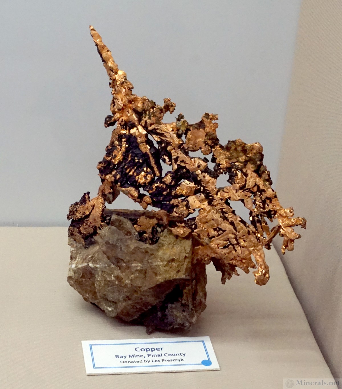 Copper Crystals from the Ray Mine, Pinal Co., Arizona, The University of Arizona Gem & Mineral Museum