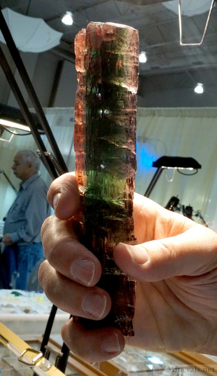 Thick Gemmy Tourmaline Crystal from Barra do Salinas, Coronel Murta, Minas Gerais, Brazil, Lexcel Minerals