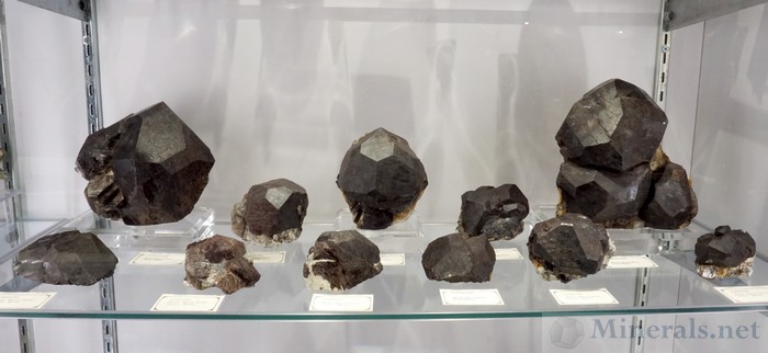 Large Black Almandine Garnet Crystals from the Mount Marie Mine, Paris, Maine, Graeber & Himes