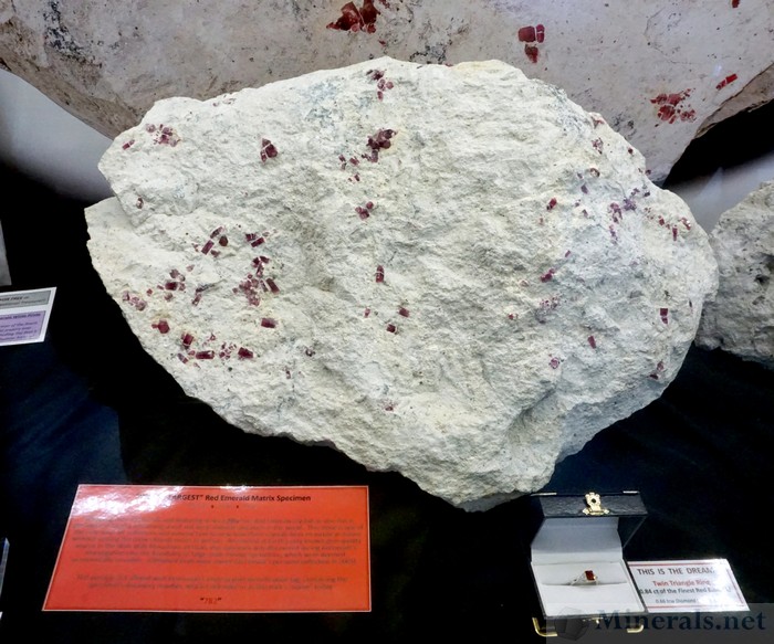 Worlds Largest Red Beryl Specimen, weighing over 45 lbs with 50+ Red Beryl Crystals, from the Wah Wah Mountains, Utah. Obtained from mine owner Earl Foster's personal collection in 2005.