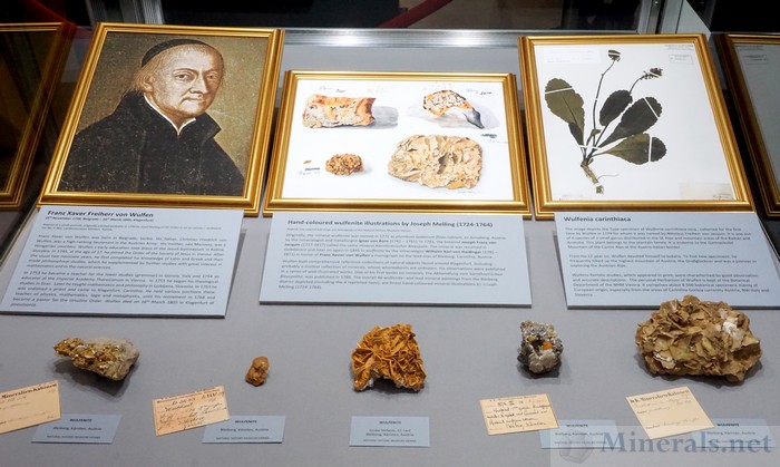 Tribute to Franz Xaver Freiherr von Wulfen, Whom Wulfenite is Named After, Natural History Museum Vienna