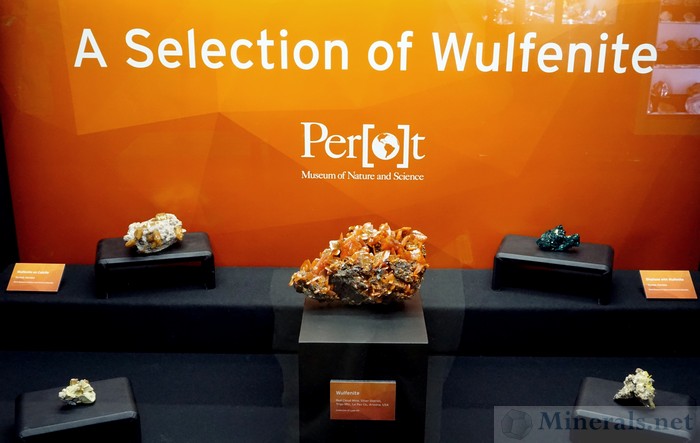 A Selection of Wulfenite, Perot Museum of Nature and Science