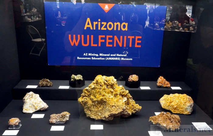 Arizona Wulfenite AZ Mining, Mineral, and Natural Resources (AMMNRE) Museum
