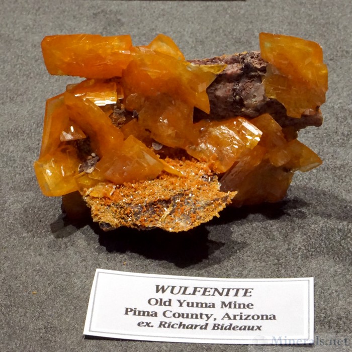 Wulfenite from the Old Yuma Mine, Pima Co., Arizona, Collection of Wayne and Dona Leicht