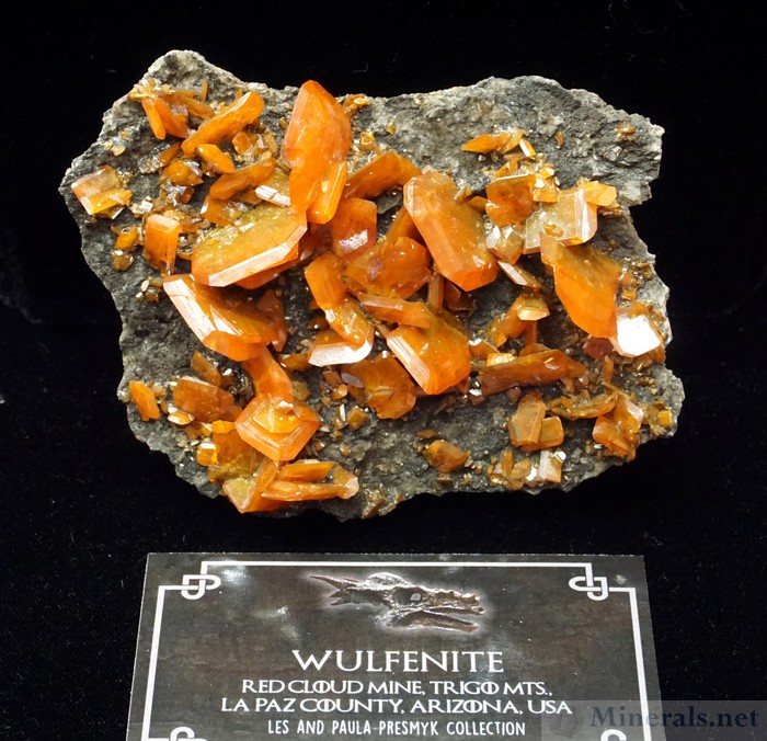 Wulfenite from the Red Cloud Mine, Trigo Mountains, La Paz Co, Arizona, Les & Paula Presmyk Collection