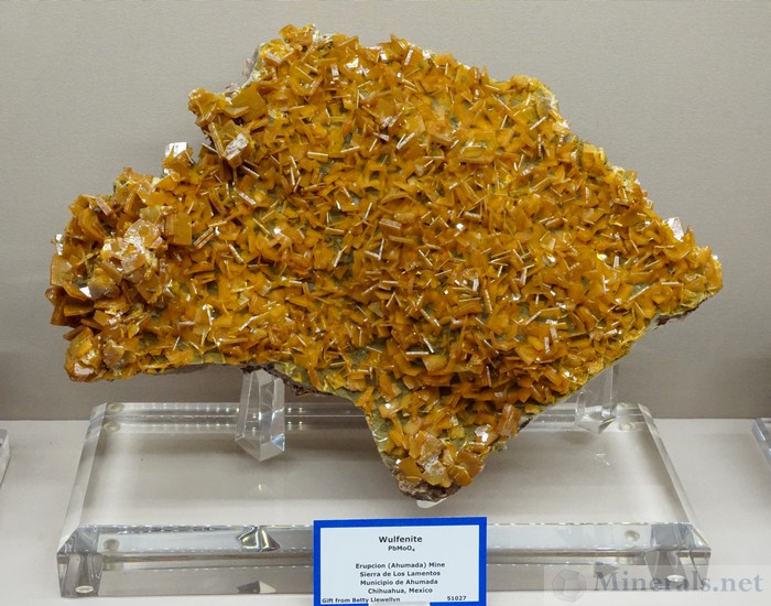 Wulfenite from the Erupcion (Ahumada) Mine, Sierra de los Lamentos, Chihuahua, Mexico, Colorado School of Mines