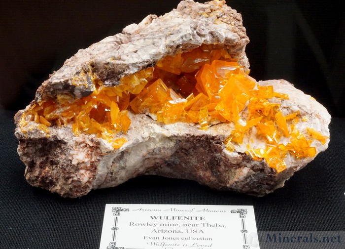 Wulfenite from the Rowley Mine, near Theba, Maricopa Co., AZ, Arizona Mineral Minions Case, Evan Jones Collection