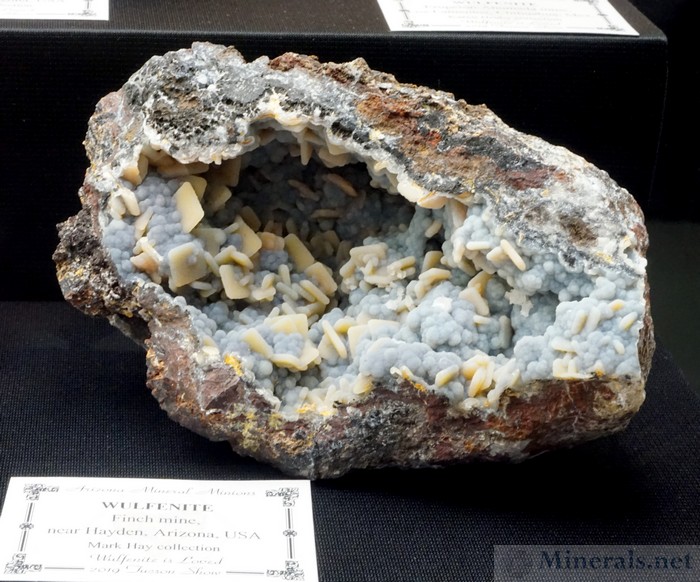 Wulfenite with Druzy Quartz Coating from the Finch Mine, near Hayden, Gila Co., AZ, Arizona Mineral Minions Case, Mark Hay Collection